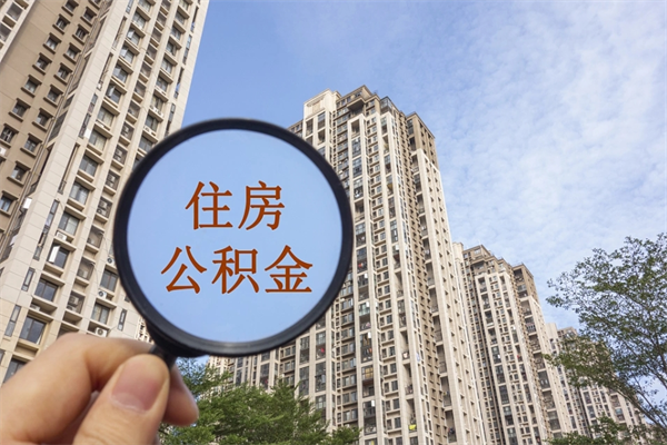 阳谷辞职多久公积金可以全部取出来吗（辞职之后公积金多长时间可以取）